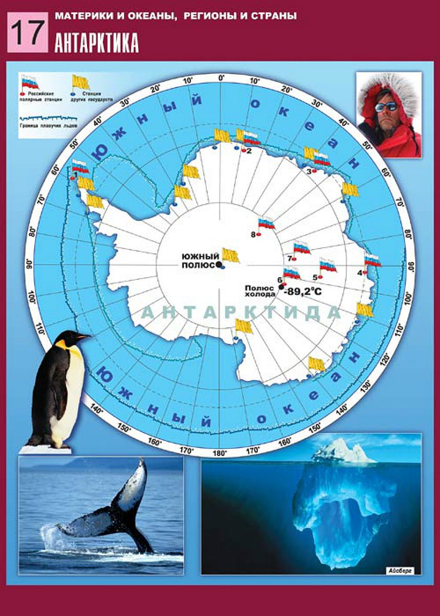 География южного океана. Антарктида детская карта. Карта Антарктики для детей. Животные Антарктиды на карте.